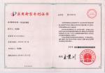 Utility model patents1
